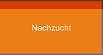 Nachzucht